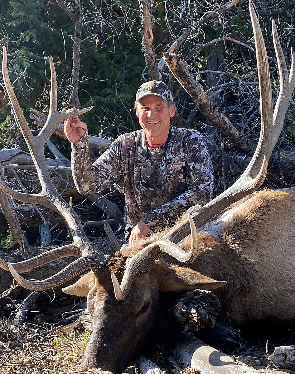 Elk harvest